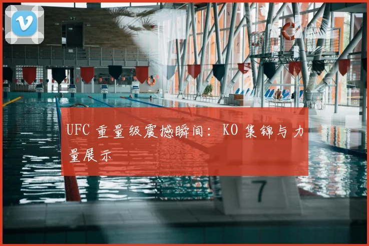 UFC 重量级震撼瞬间：KO 集锦与力量展示