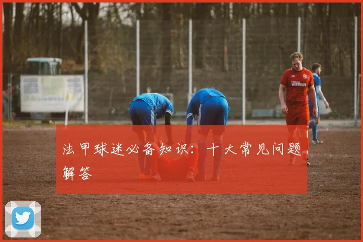法甲球迷必备知识：十大常见问题解答
