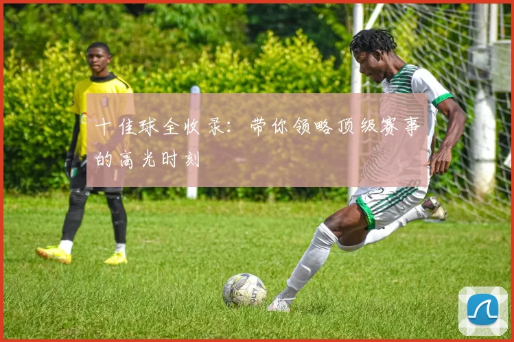 十佳球全收录：带你领略顶级赛事的高光时刻
