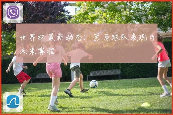 世界杯最新动态：黑马球队表现与未来赛程