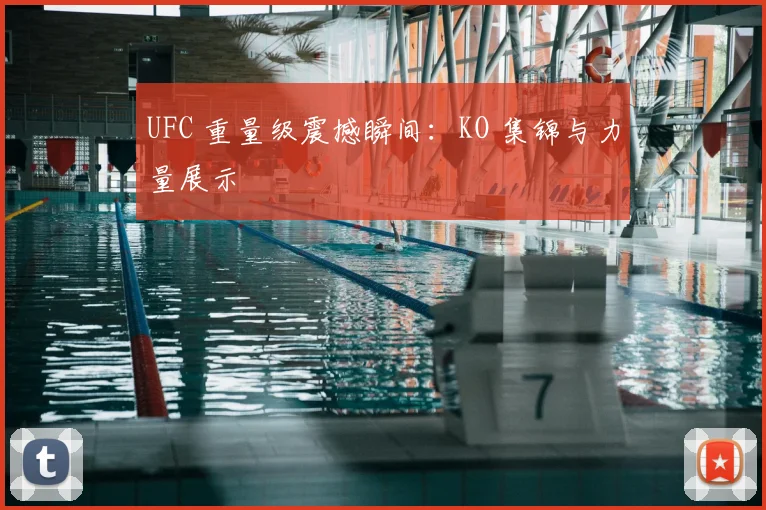 UFC 重量级震撼瞬间:KO 集锦与力量展示