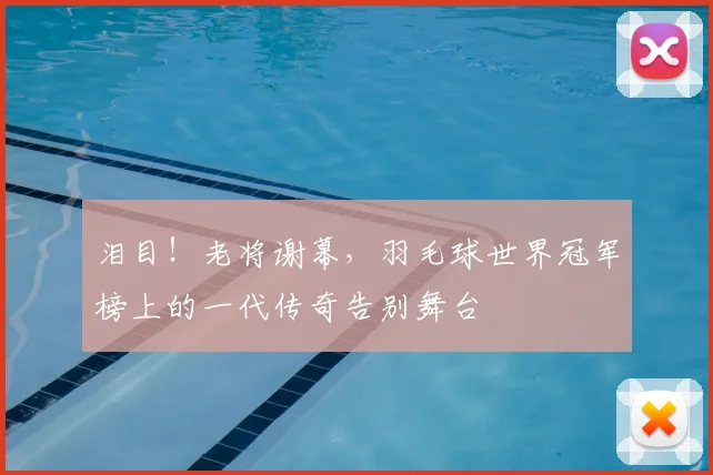 泪目！老将谢幕，羽毛球世界冠军榜上的一代传奇告别舞台