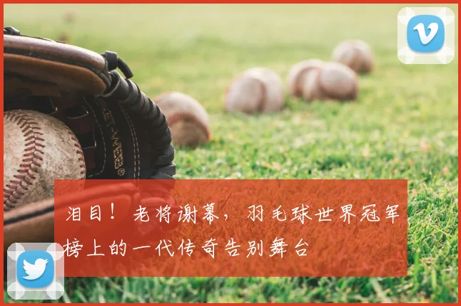 泪目！老将谢幕，羽毛球世界冠军榜上的一代传奇告别舞台